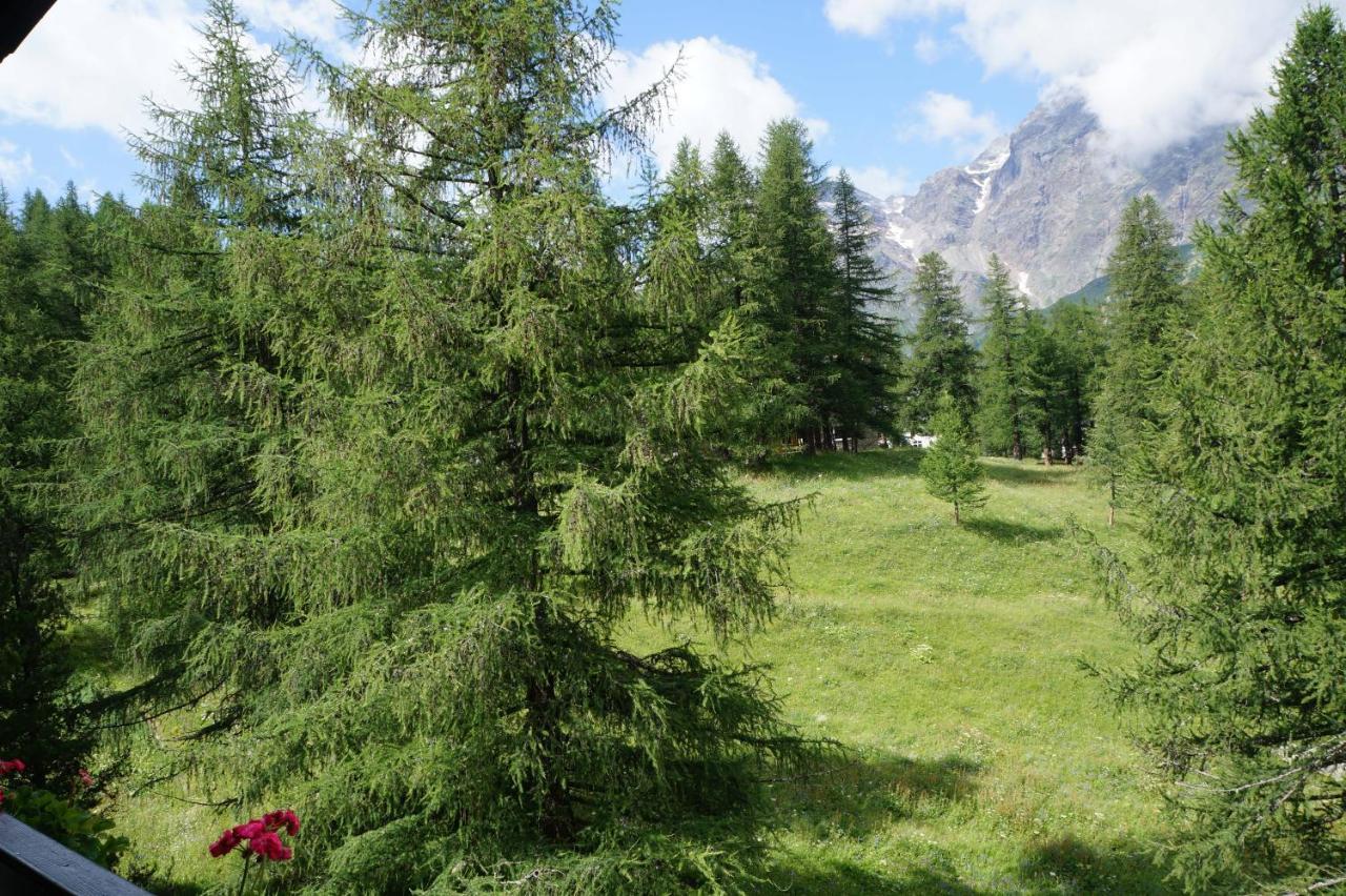Window On The Mountains Apartment Breuil-Cervinia Bagian luar foto